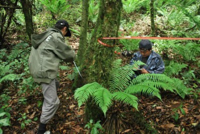 黑长臂猿边缘分布种群及其栖息地监测与