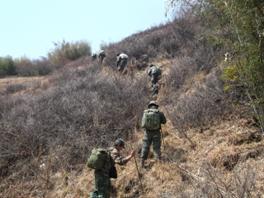 巡护队员翻山越岭，正在进行巡护工作