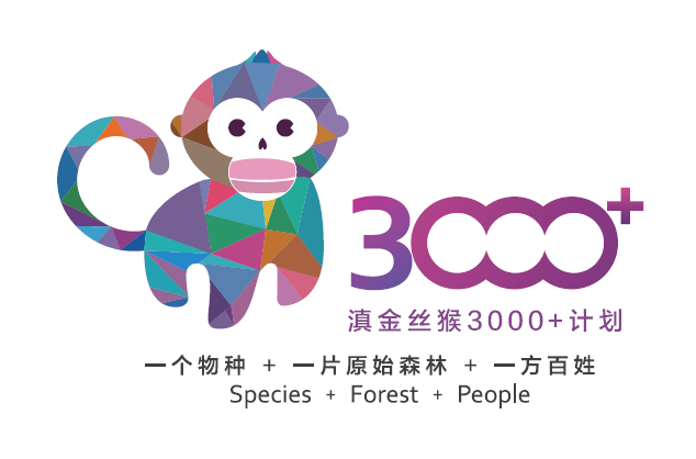 滇金丝猴3000+小额赠款项目征集公告