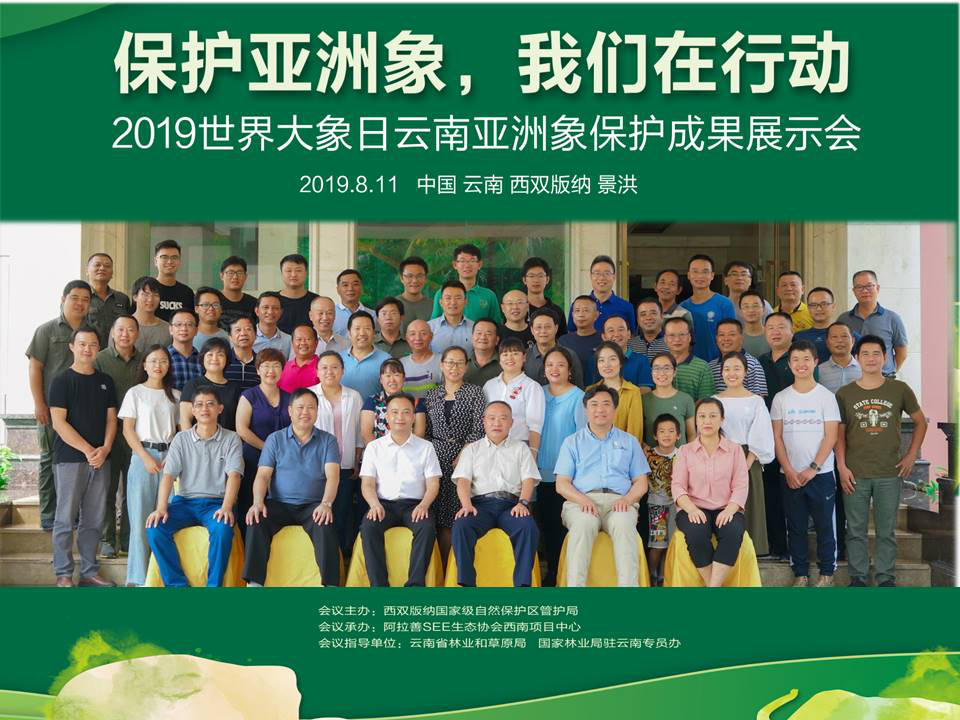 保护亚洲象 ，我们在行动