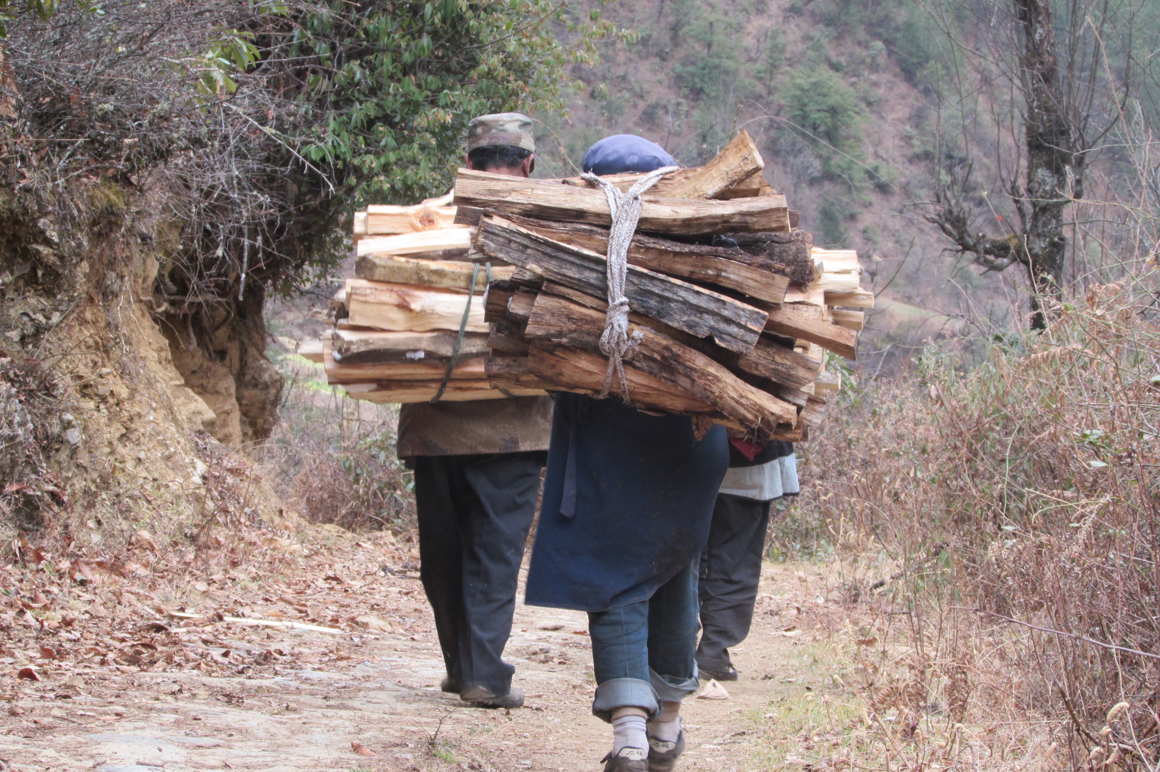 wood is a key energey soruce for farmers in Yunnan mountain areas