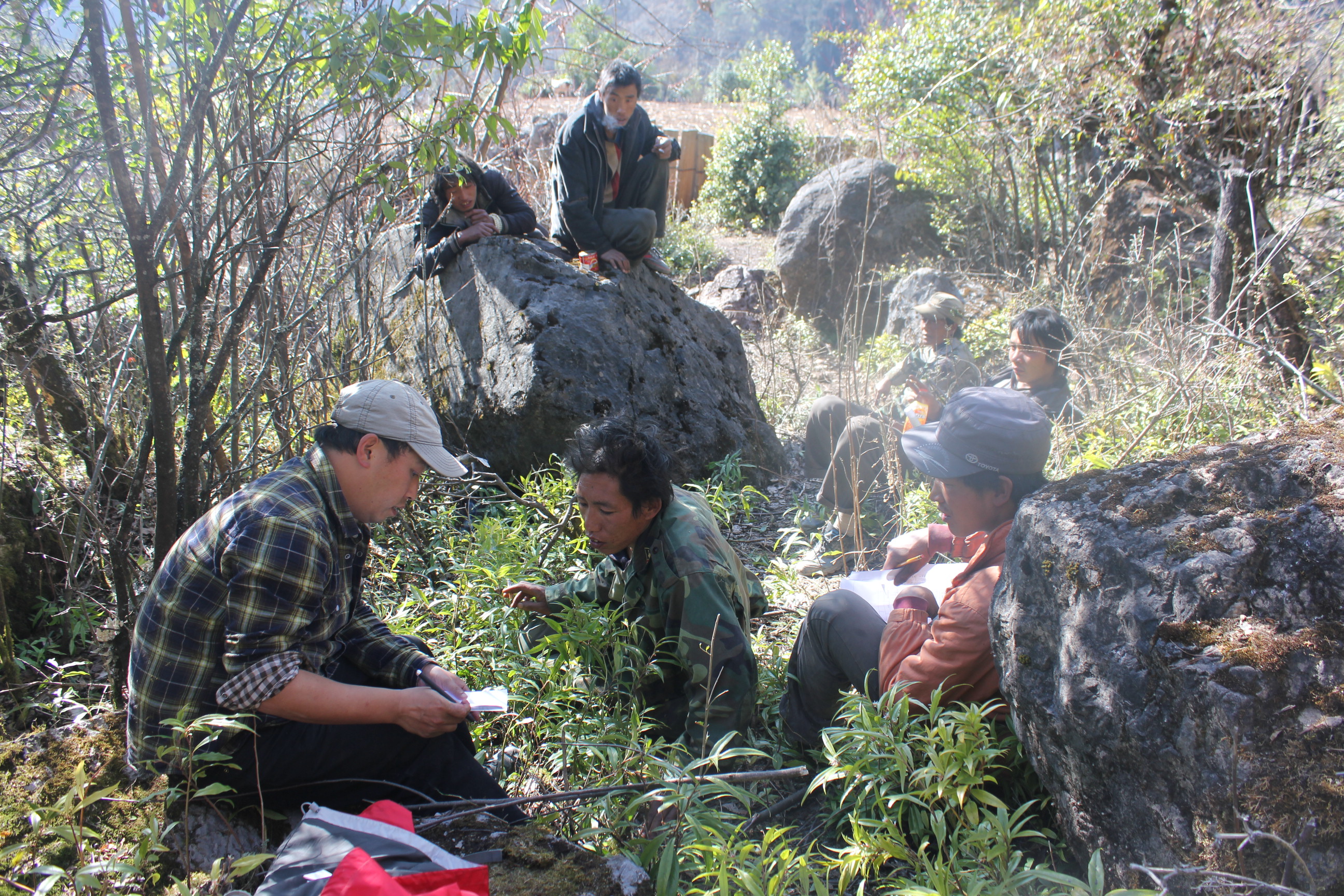 Daily work of forest rangers