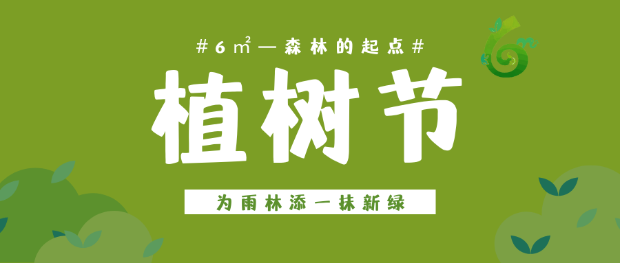 植树节|为雨林添一抹新绿