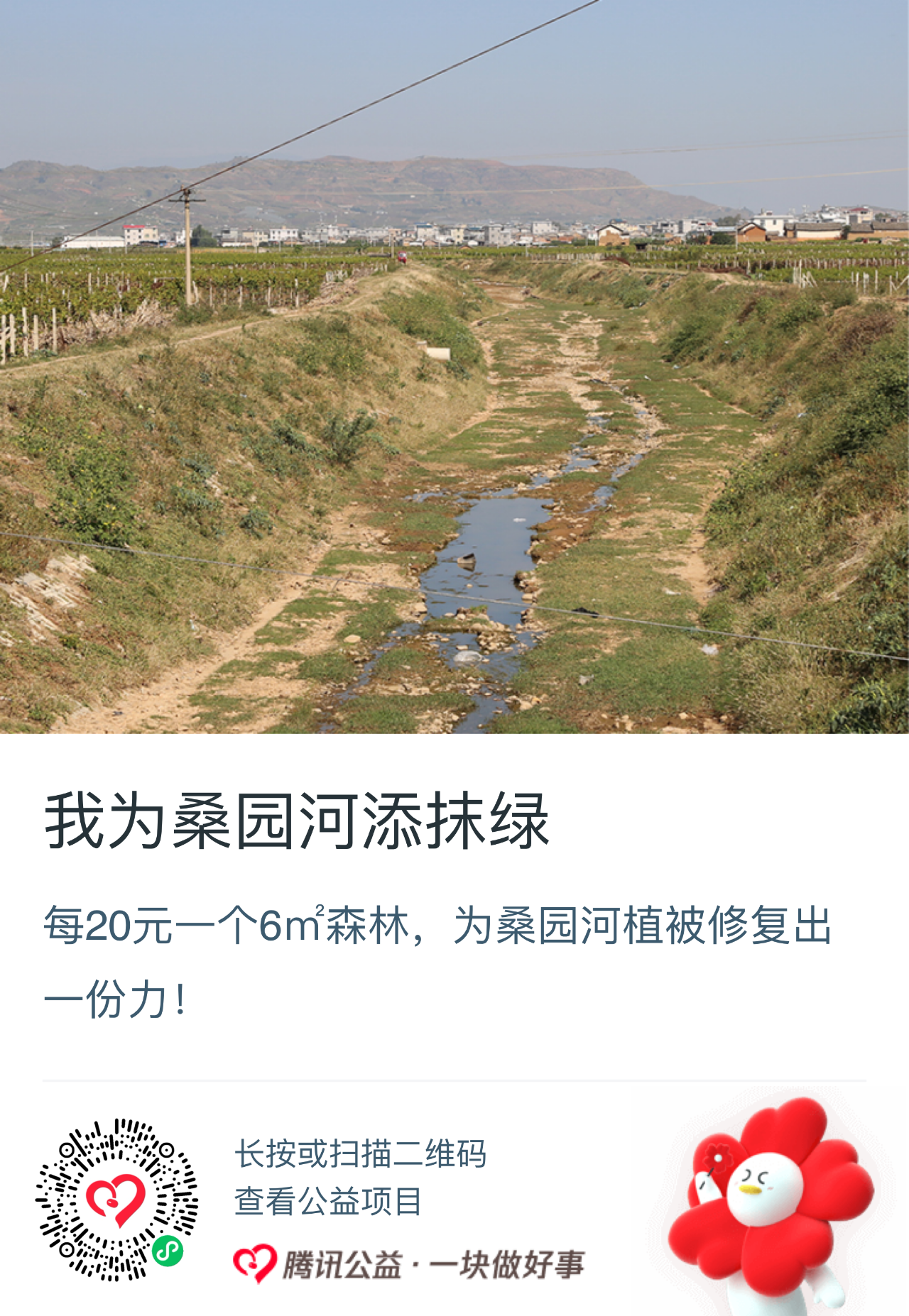 5·8人道公益日 | 每20元一个6㎡森林，为桑园河添一抹绿