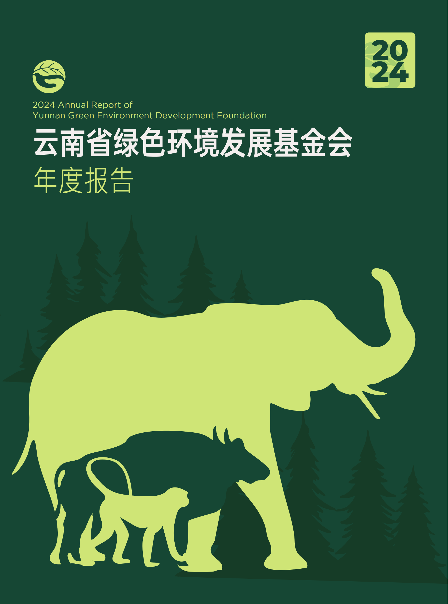 云南省绿色环境发展基金会2024年报